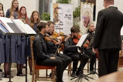 viber_slika_2025-10-11_03-04-18-671_1024x682