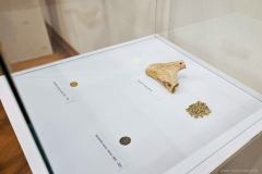 20251011_193039_1024x683