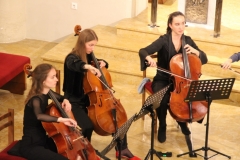 IMG_2697_1024x683